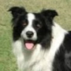 Meet your Posher, Rayne